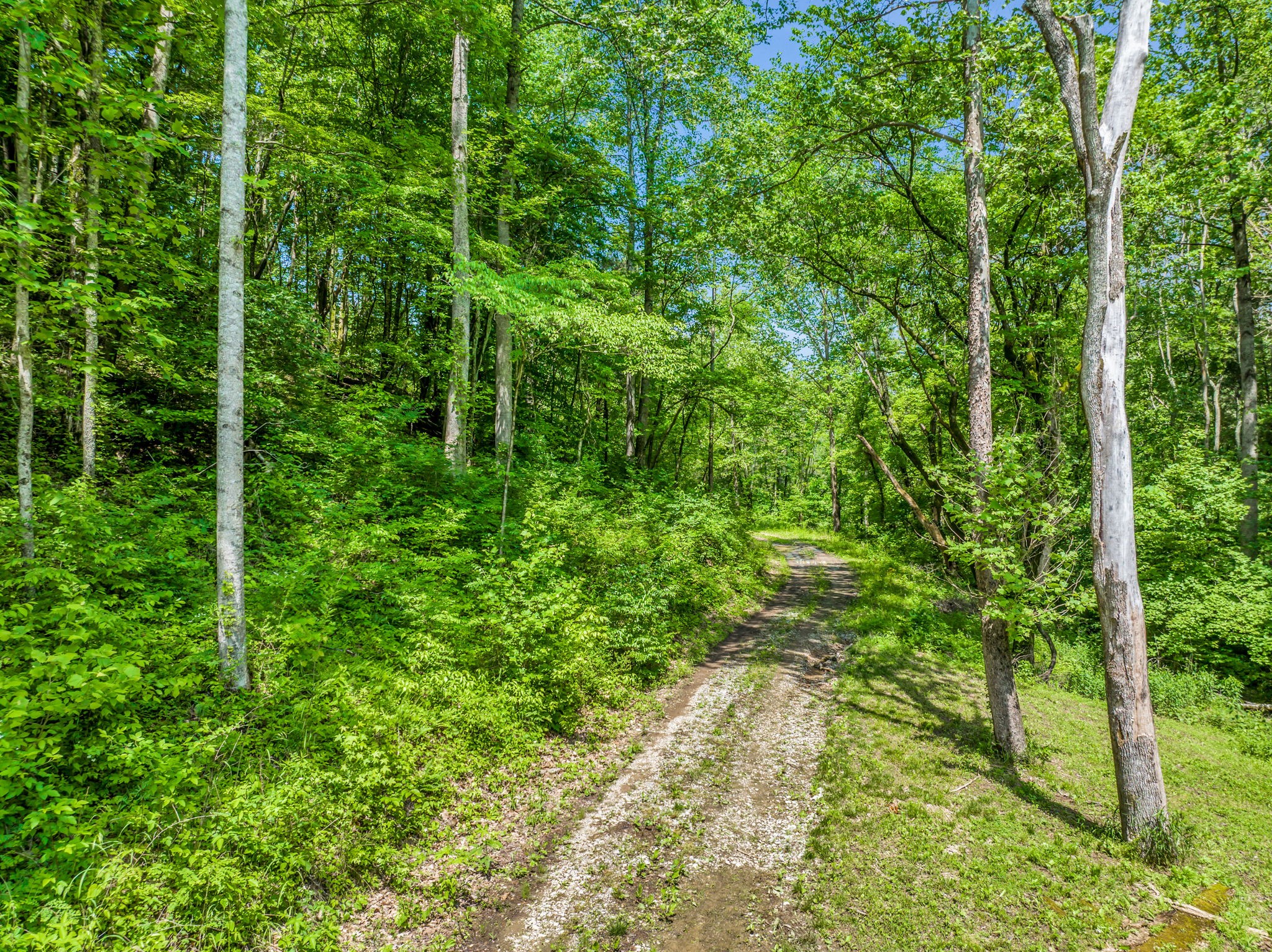 8515 Cub Creek Road Nashville, TN 37209 - Photo 12 of 23 a view of a garden