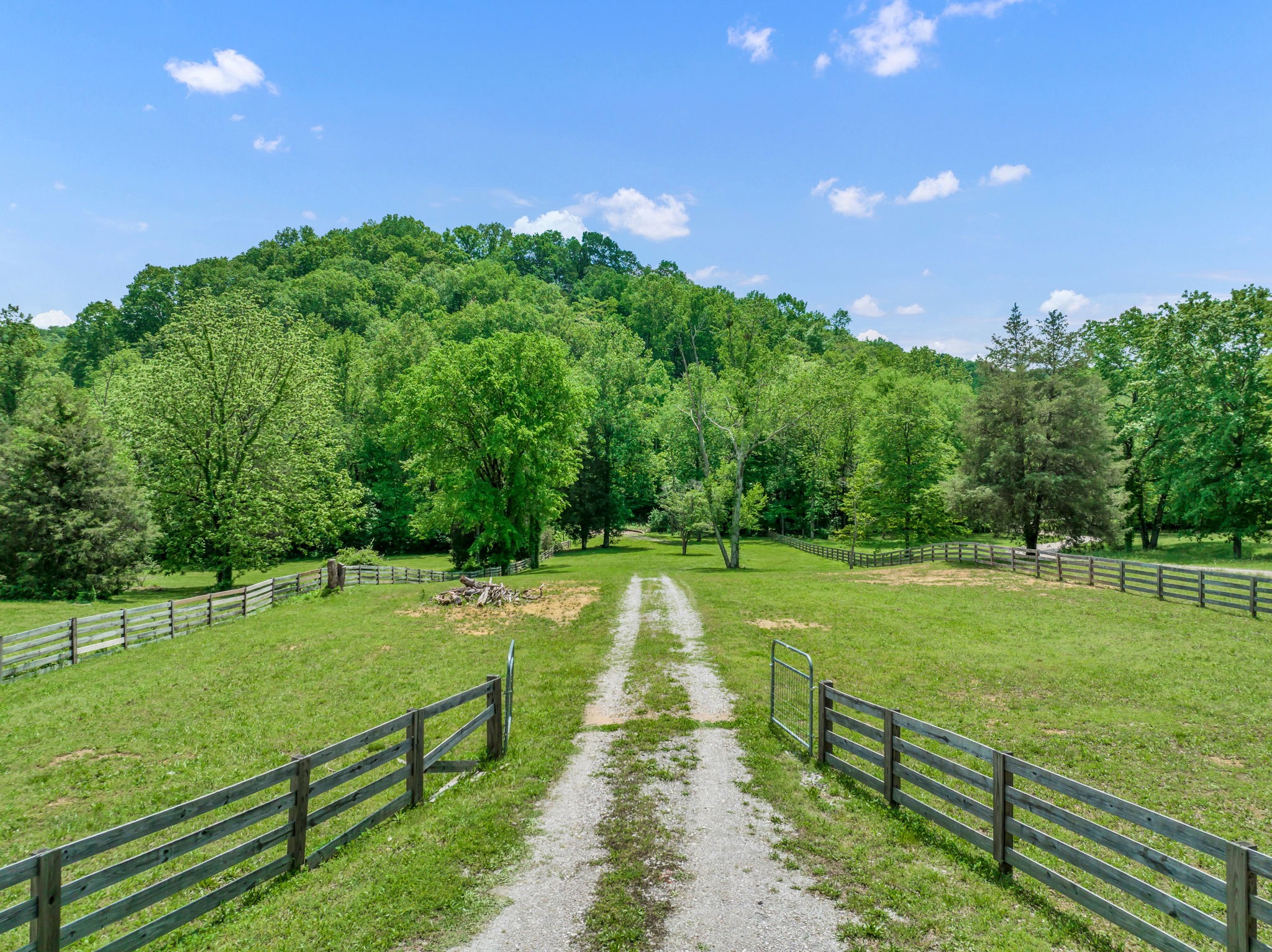 8515 Cub Creek Road Nashville, TN 37209 - Photo 2 of 23 a view of a park with large trees