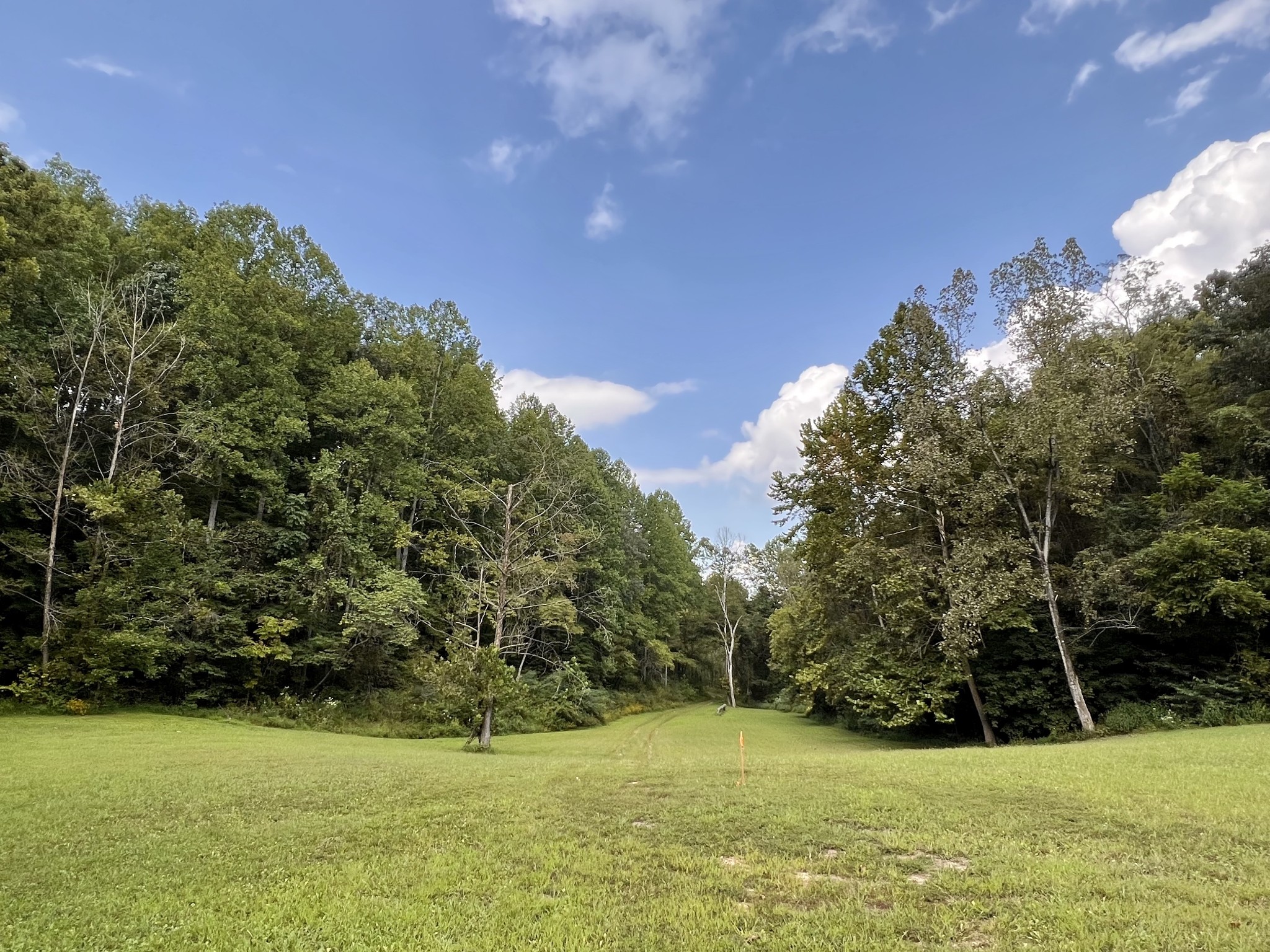 8515 Cub Creek Road Nashville, TN 37209 - Photo 4 of 23 a view of green field with trees in the background