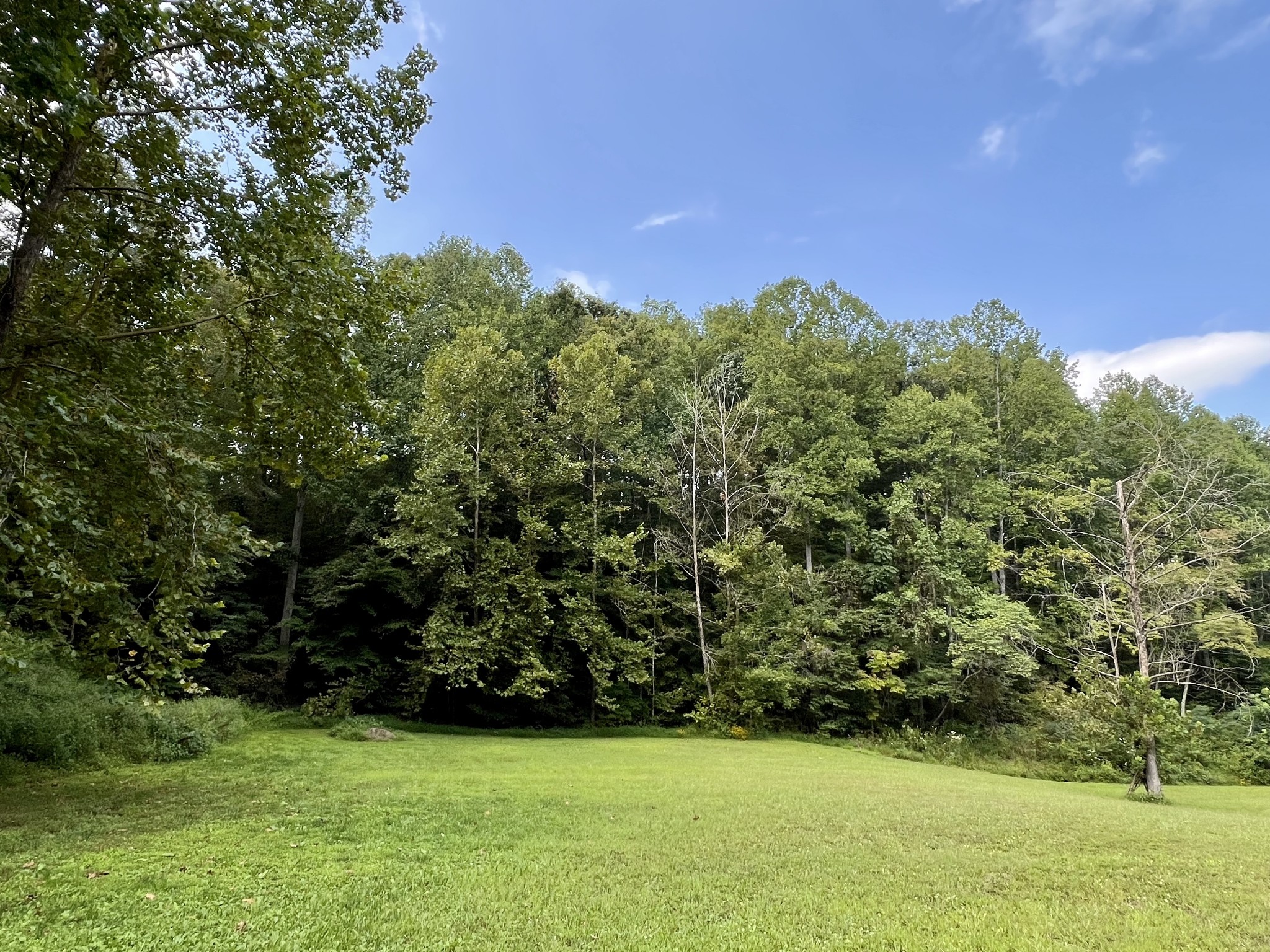 8515 Cub Creek Road Nashville, TN 37209 - Photo 5 of 23 a view of a field of grass and trees