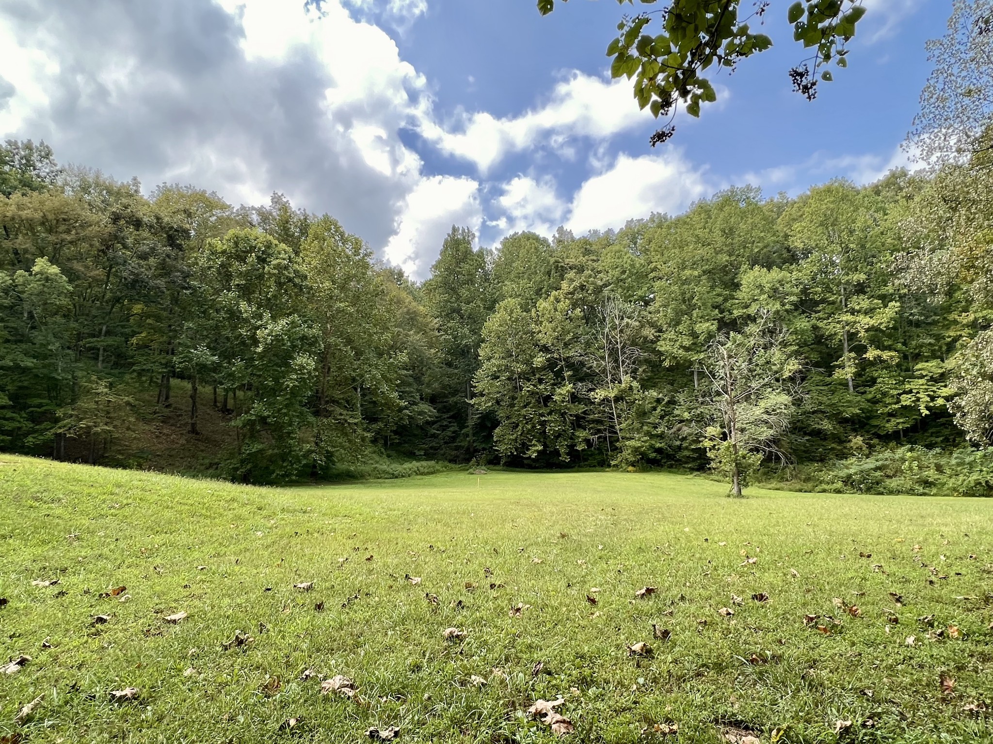 8515 Cub Creek Road Nashville, TN 37209 - Photo 6 of 23 a view of an outdoor space with a lake view