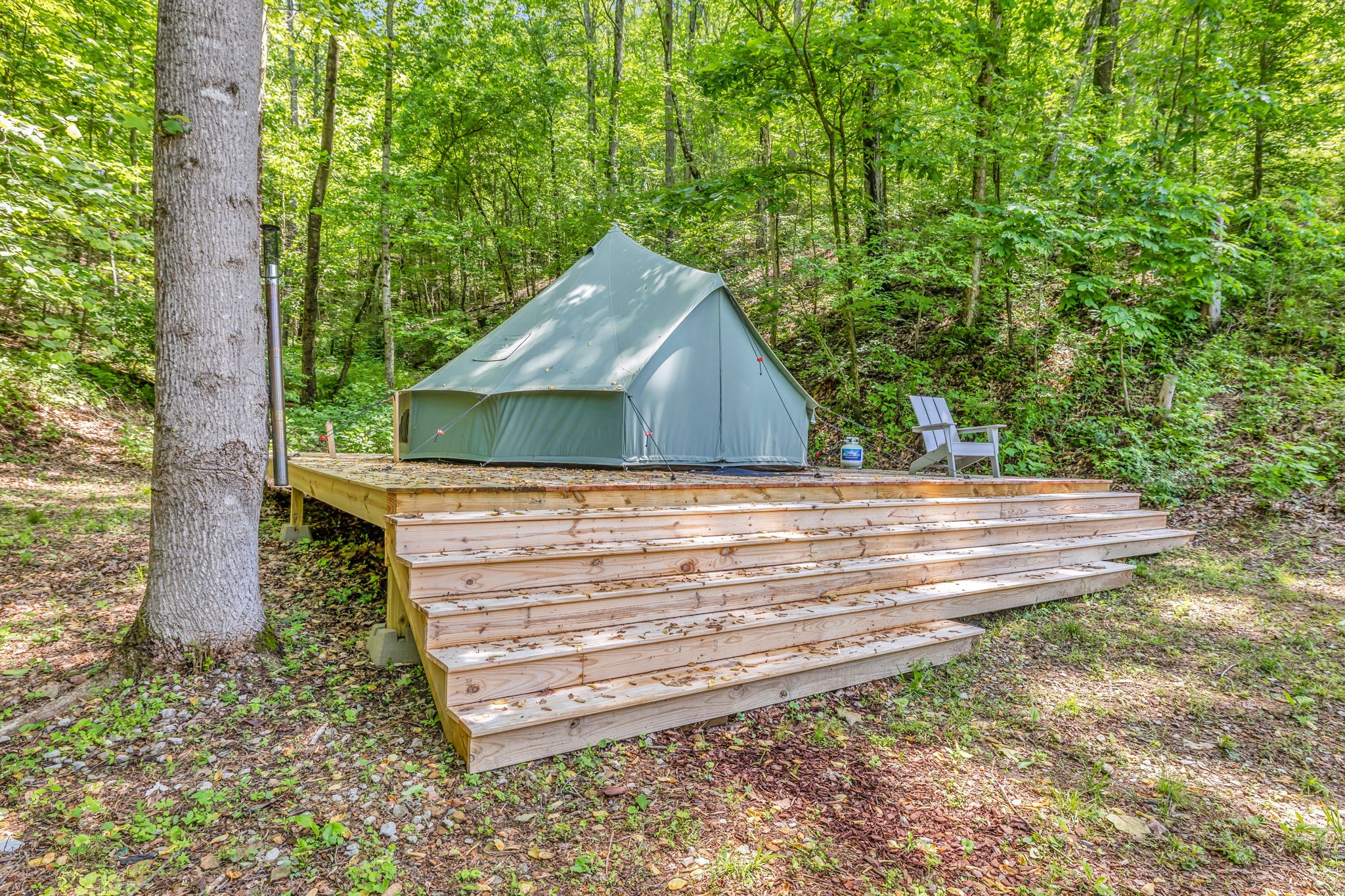 8515 Cub Creek Road Nashville, TN 37209 - Photo 8 of 23 a view of a backyard with a small cabin