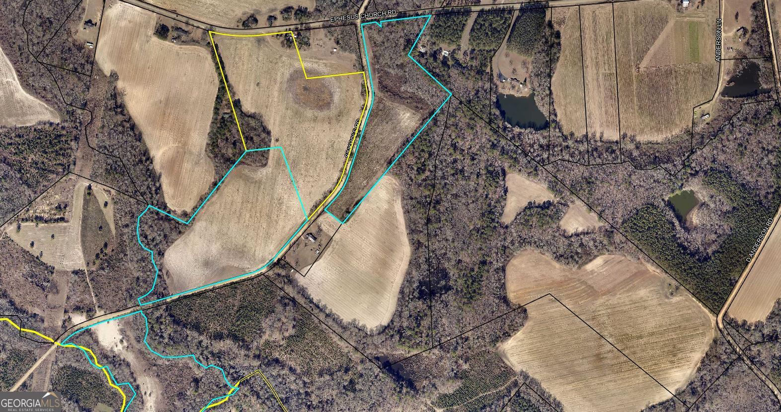 0 Sink Hole Road Register, GA 30452 - Photo 2 of 2