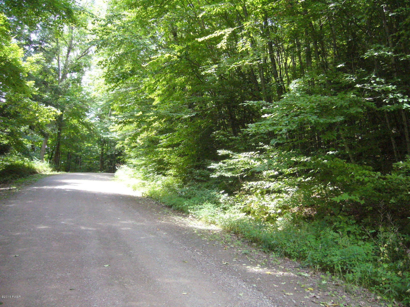Willoway Road Starlight, PA 18461 - Photo 1 of 9