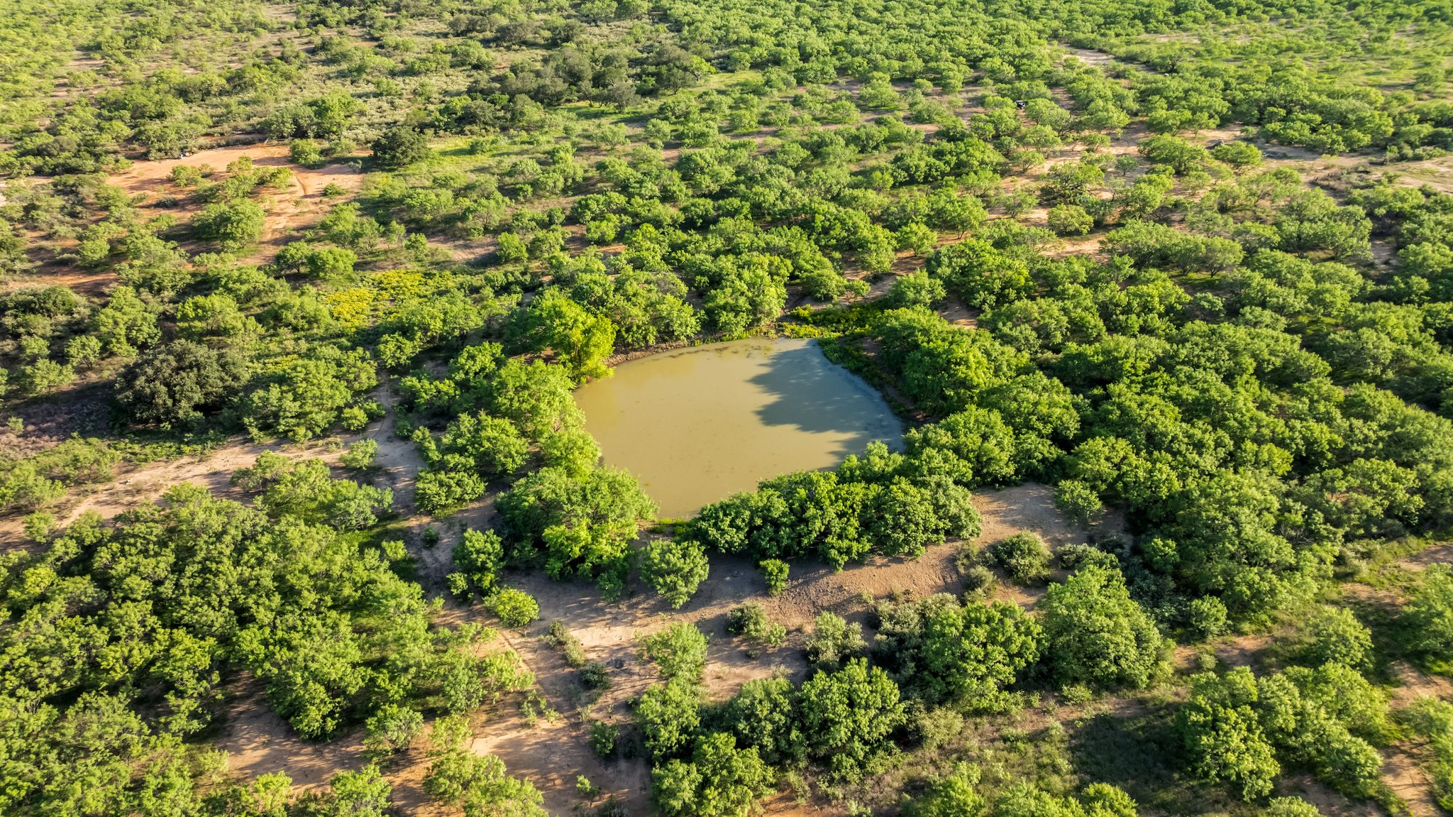 2186 FM 1028 Rochelle, TX 76872 - Photo 13 of 19 Drone / aerial view