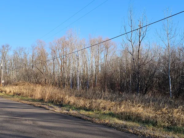 $49,000 | 47 Isle Mn 56342, Isle, MN 56342