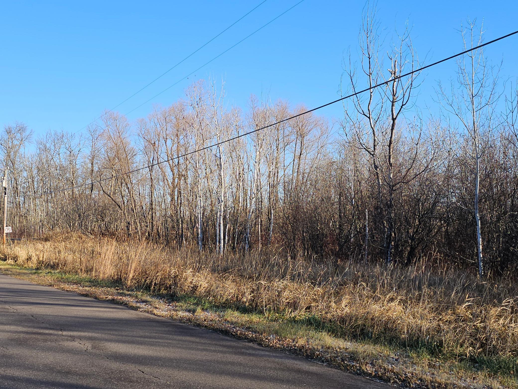 Tbd Whistle Road Isle, MN 56342 - Photo 3 of 9