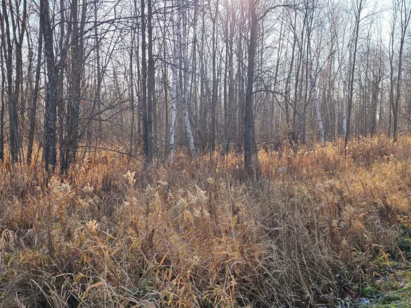 $49,000 | 47 Isle Mn 56342, Isle, MN 56342