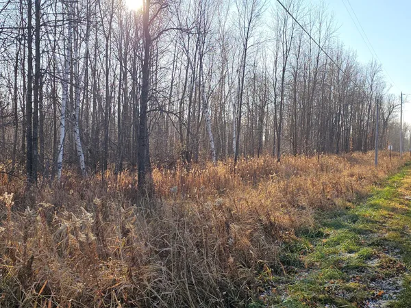 $49,000 | 47 Isle Mn 56342, Isle, MN 56342