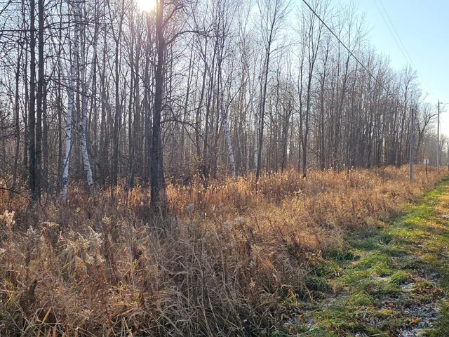 $49,000 | Tbd Whistle Road, Isle, MN 56342