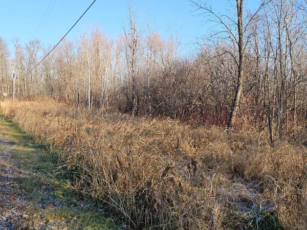 $49,000 | 47 Isle Mn 56342, Isle, MN 56342