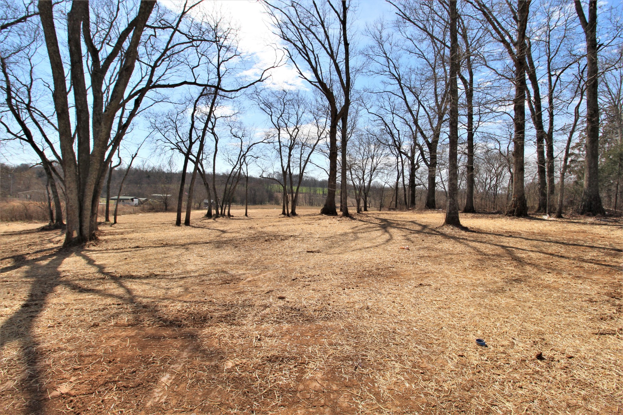 554 Governor Hall Road Castalian Springs, TN 37031 - Photo 17 of 17 Gallery Image 17