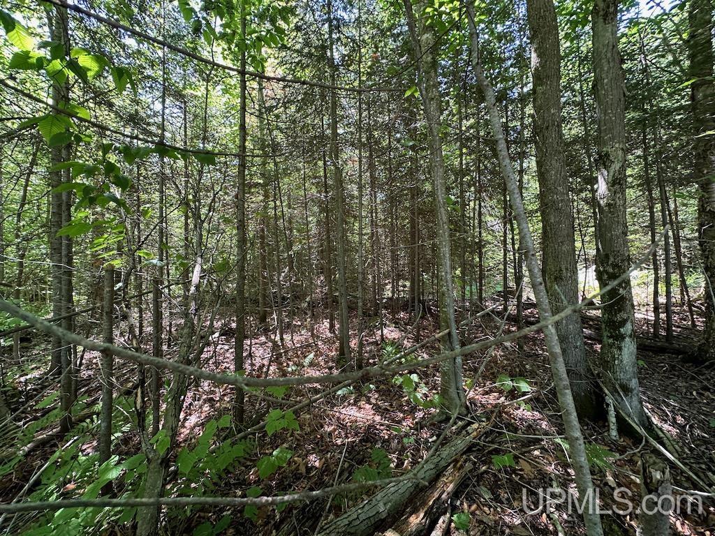 Parcel B Webb Road Grand Marais, MI 49839 - Photo 14 of 28