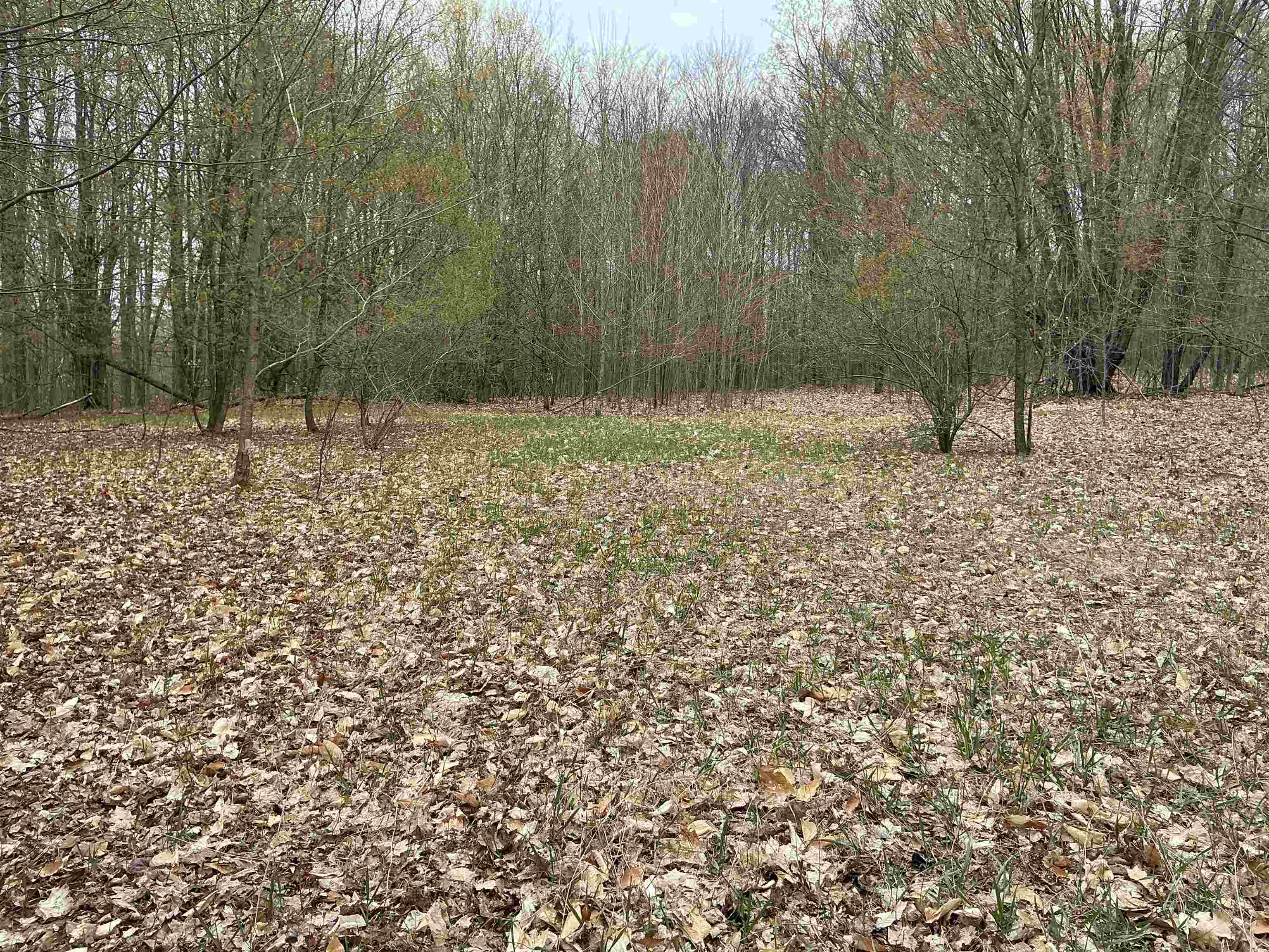 20-acres Zimmerman Road Northwest Alden, MI 49612 - Photo 8 of 11