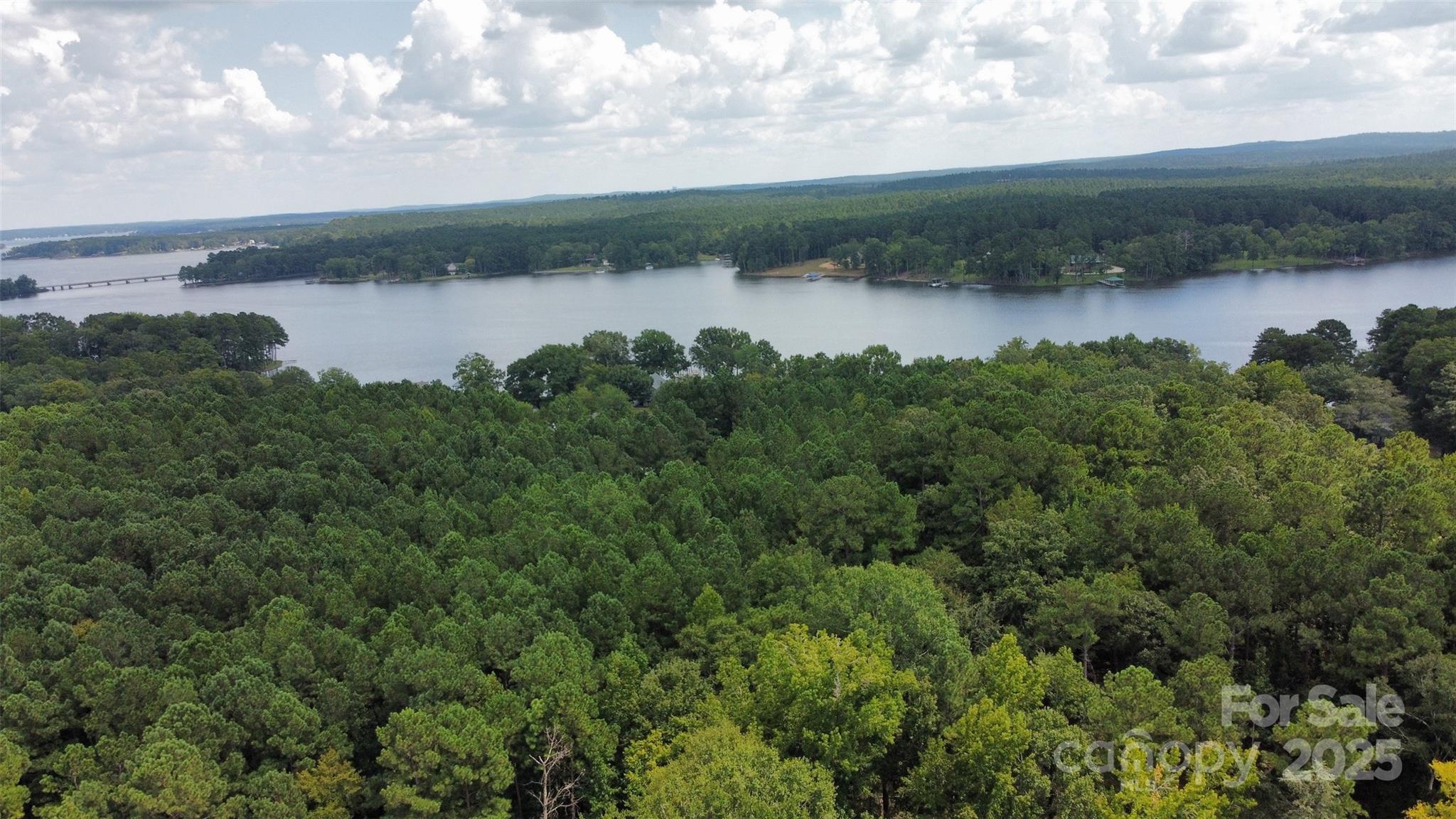 951 State Rd S-20-317 Winnsboro, SC 29180 - Photo 4 of 15 Gallery Image 4