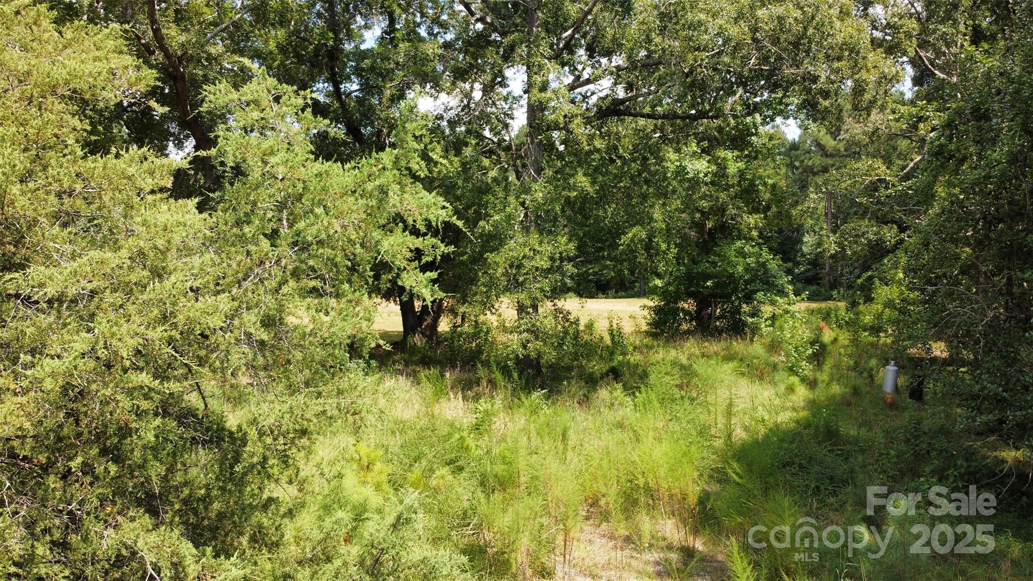 951 State Rd S-20-317 Winnsboro, SC 29180 - Photo 9 of 15 Gallery Image 9