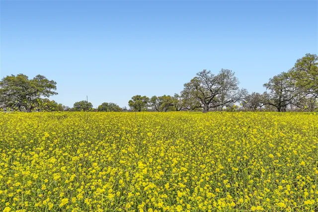 a view of lake and mountain