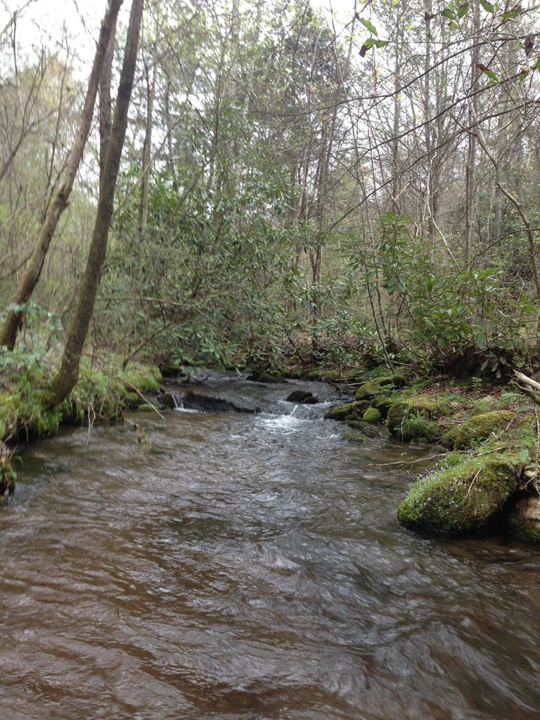 55 Greasy Creek Road Murphy, NC 28906 - Photo 2 of 3
