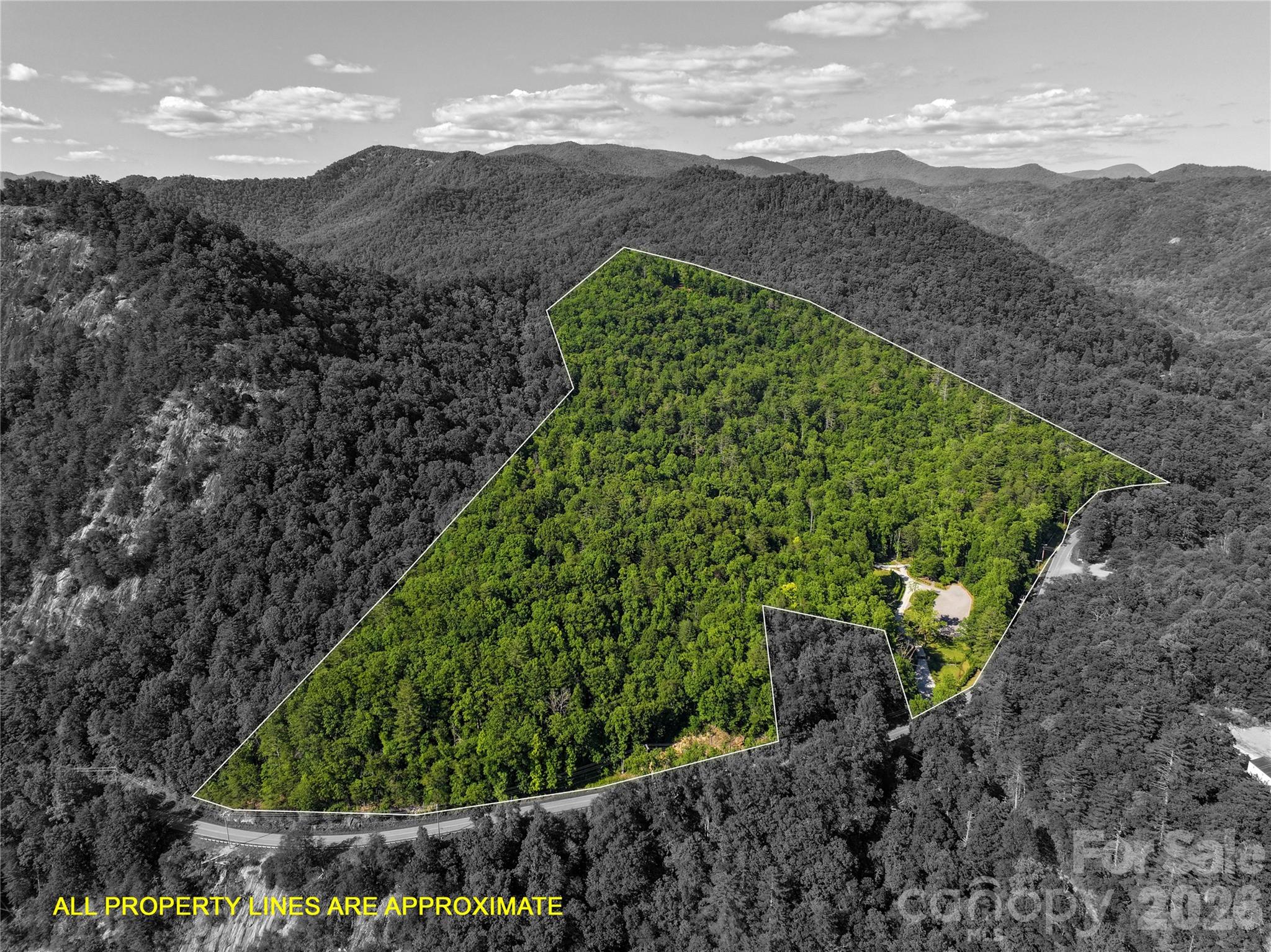 4017 Canada Road Tuckasegee, NC 28783 - Photo 2 of 46
