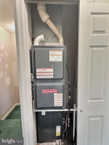 a close view of shoes