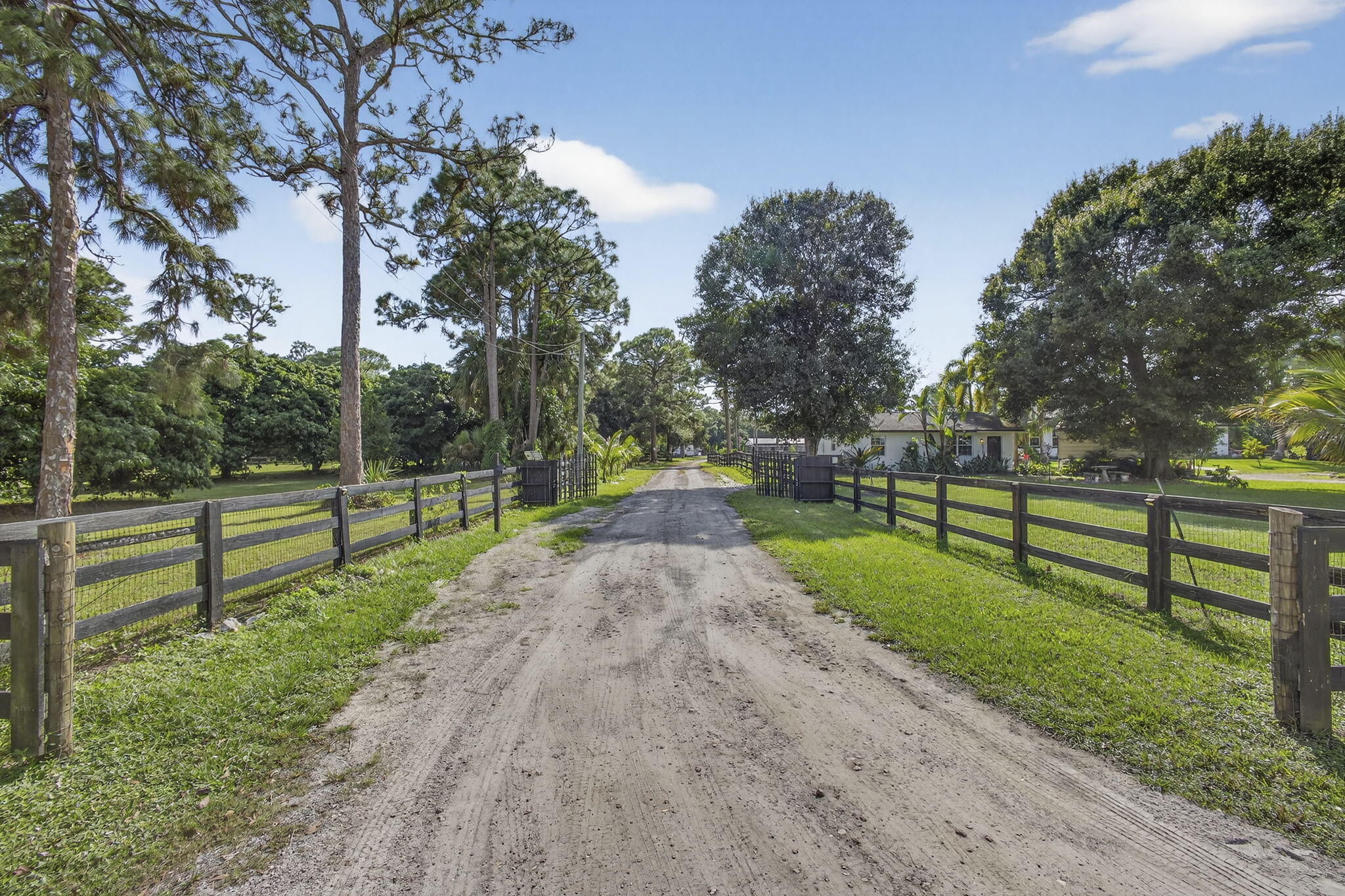 14346 33rd Place North Loxahatchee Groves, FL 33470 - Photo 2 of 40 a view of road with grass and a trees