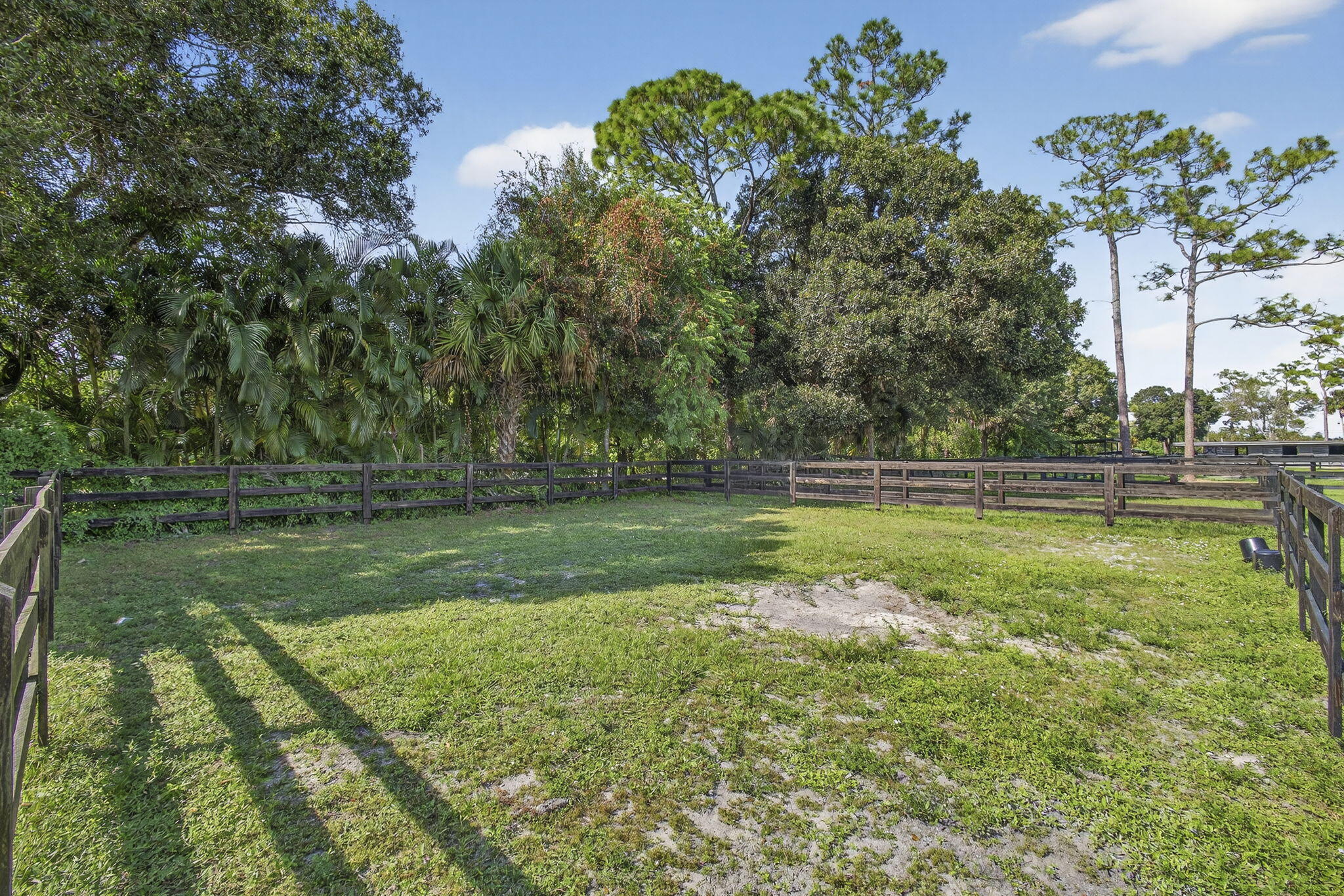 14346 33rd Place North Loxahatchee Groves, FL 33470 - Photo 22 of 40 a view of a yard