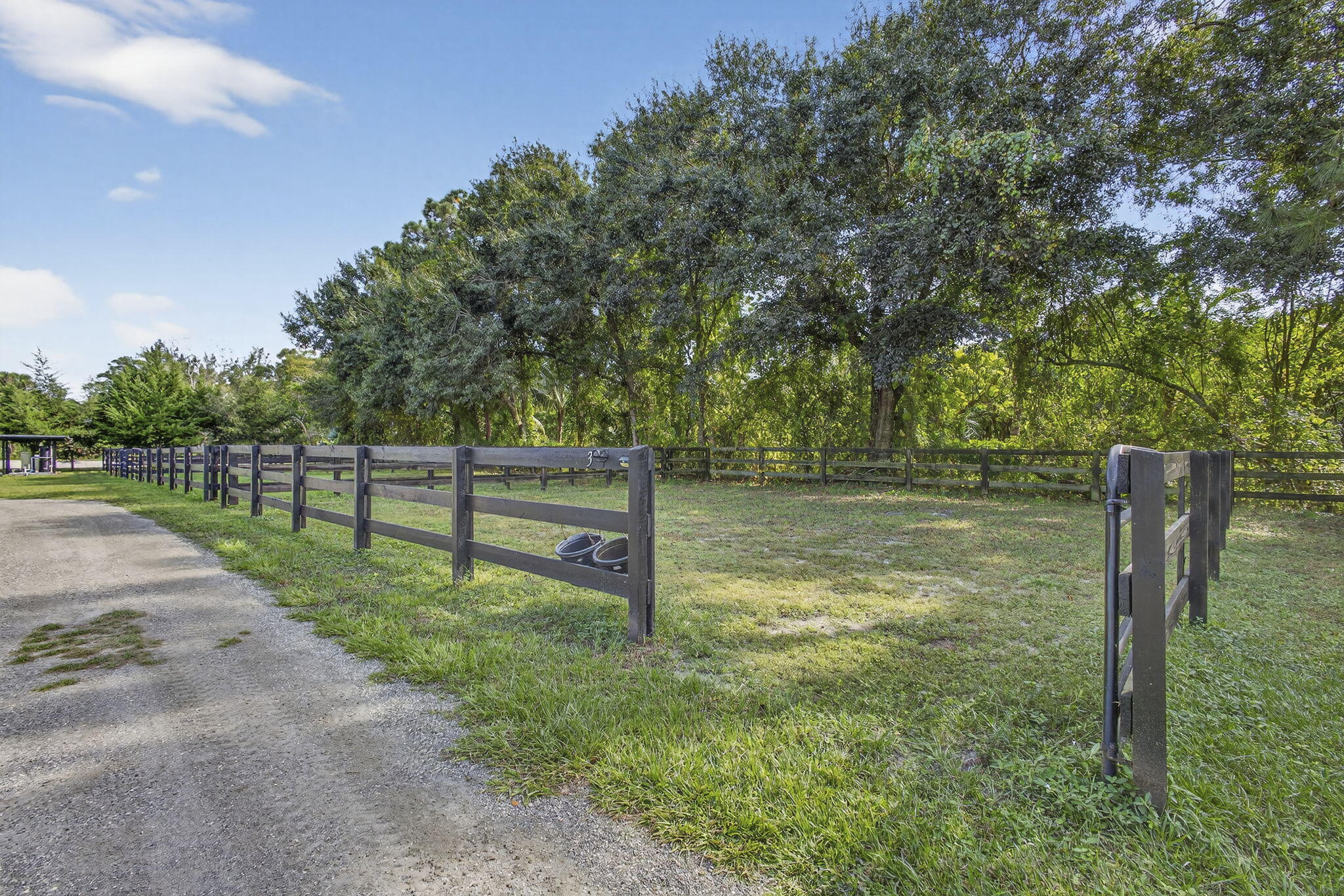 14346 33rd Place North Loxahatchee Groves, FL 33470 - Photo 31 of 40 a view of backyard with green space