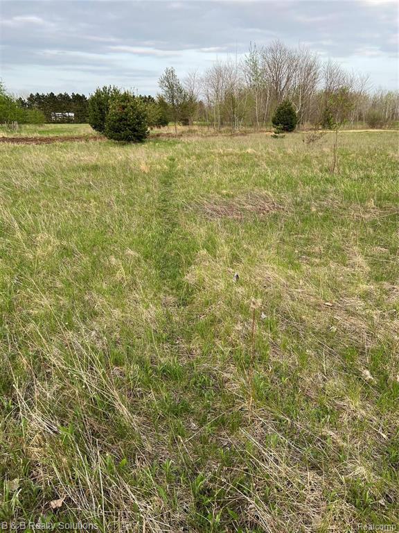 0 O Brien Road Mayville, MI 48744 - Photo 18 of 22