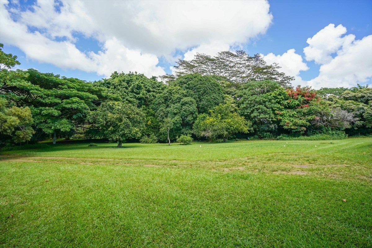 848 Kamalu Road Kapaa, HI 96746 - Photo 20 of 23