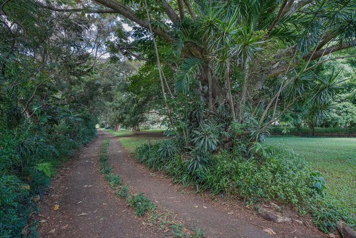 848 Kamalu Road Kapaa, HI 96746 - Photo 2 of 23