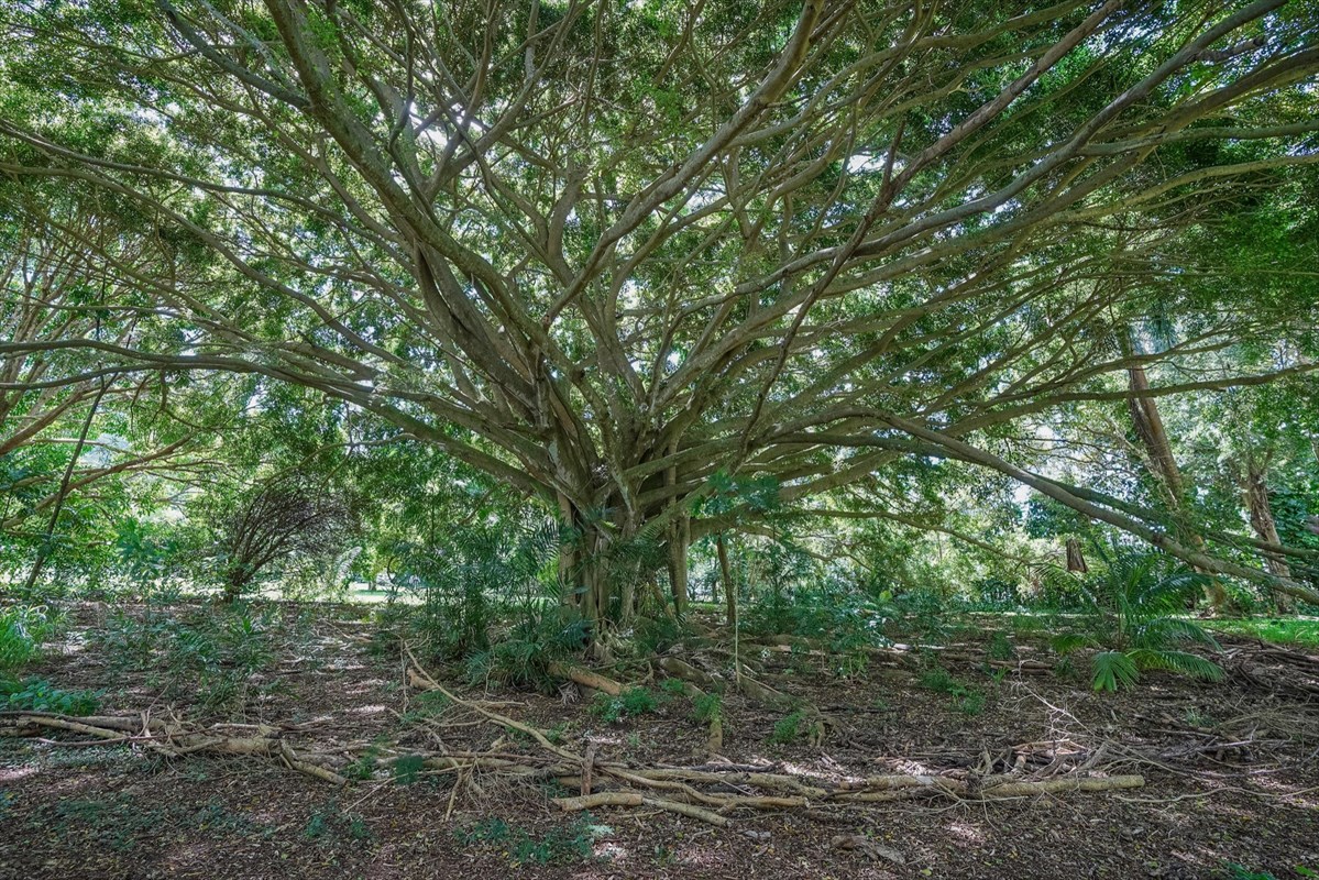 848 Kamalu Road Kapaa, HI 96746 - Photo 23 of 23