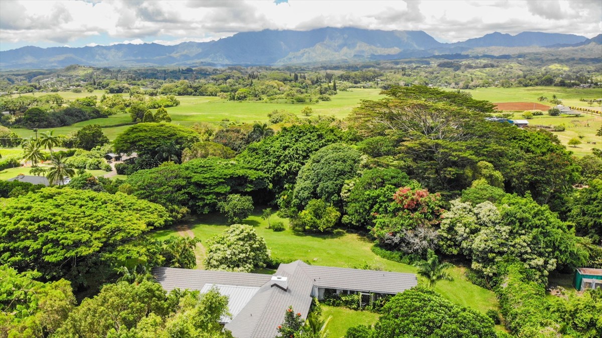 848 Kamalu Road Kapaa, HI 96746 - Photo 7 of 23