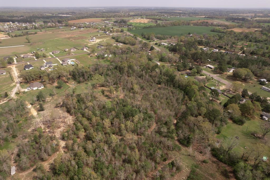 0 Skipper Road Dothan, AL 36301 - Photo 14 of 19