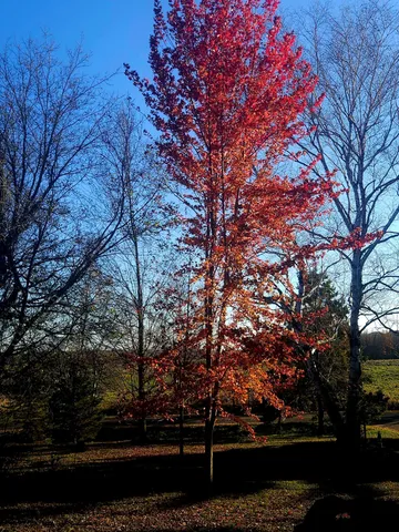 $394,900 | 584 21 1/2 Avenue, Cumberland, WI 54829