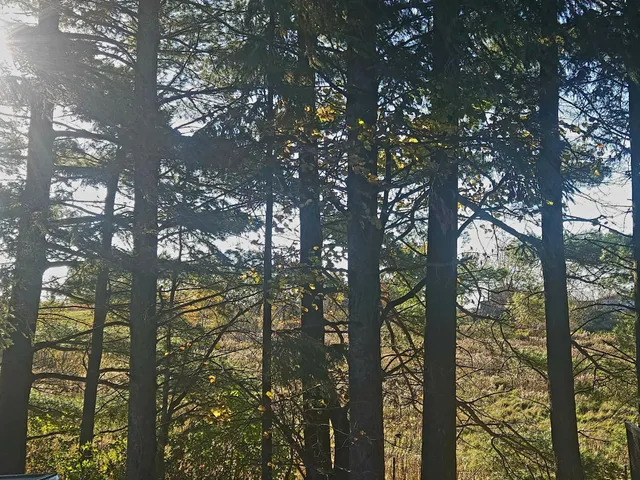 $394,900 | 584 21 1/2 Avenue, Cumberland, WI 54829