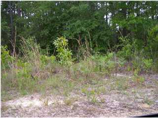 0 Caswell Road DeFuniak Springs, FL 32435 - Photo 1 of 1 Gallery Image 1
