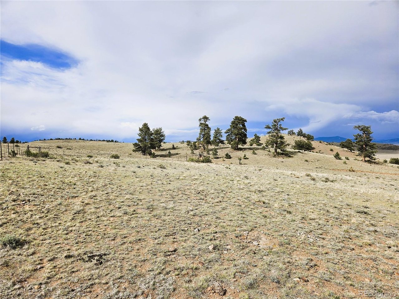 24131 Chato Road Hartsel, CO 80449 - Photo 17 of 28