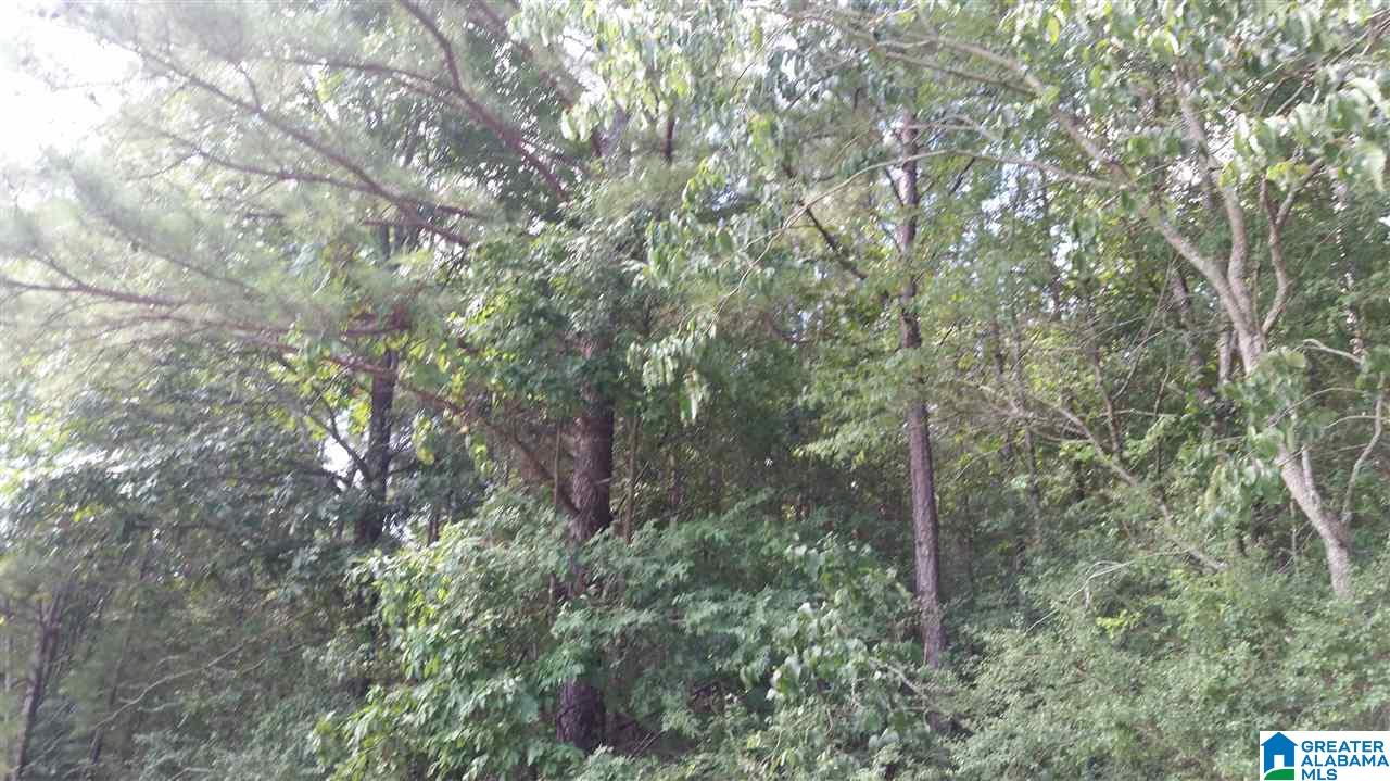 1885 Brooks Lake Road Lincoln, AL 35096 - Photo 13 of 30