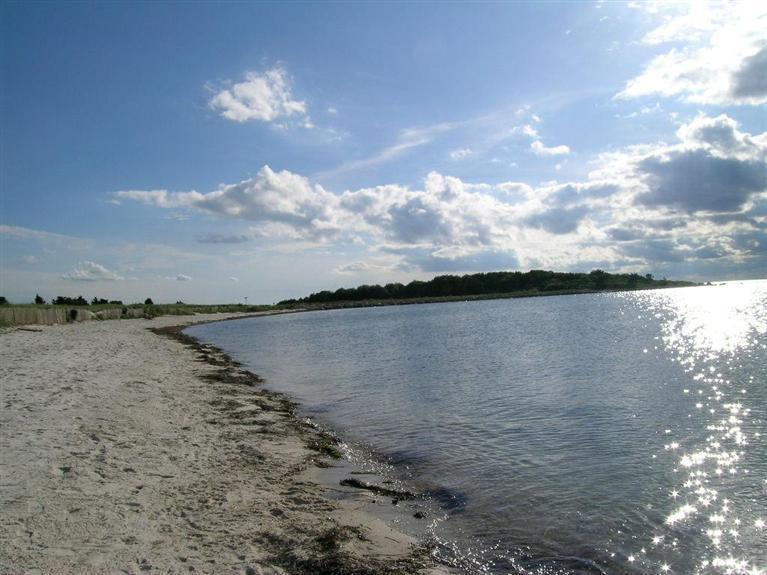 59 Chase Road Falmouth, MA 02540 - Photo 34 of 35 a view of a lake from a yard