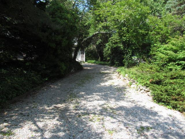 59 Chase Road Falmouth, MA 02540 - Photo 6 of 35 a view of a yard with plants and large trees