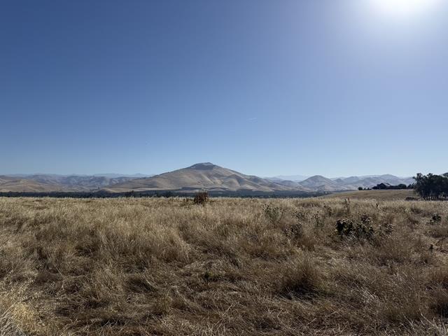 1900 North Piedra Road Sanger, CA 93657 - Photo 3 of 13