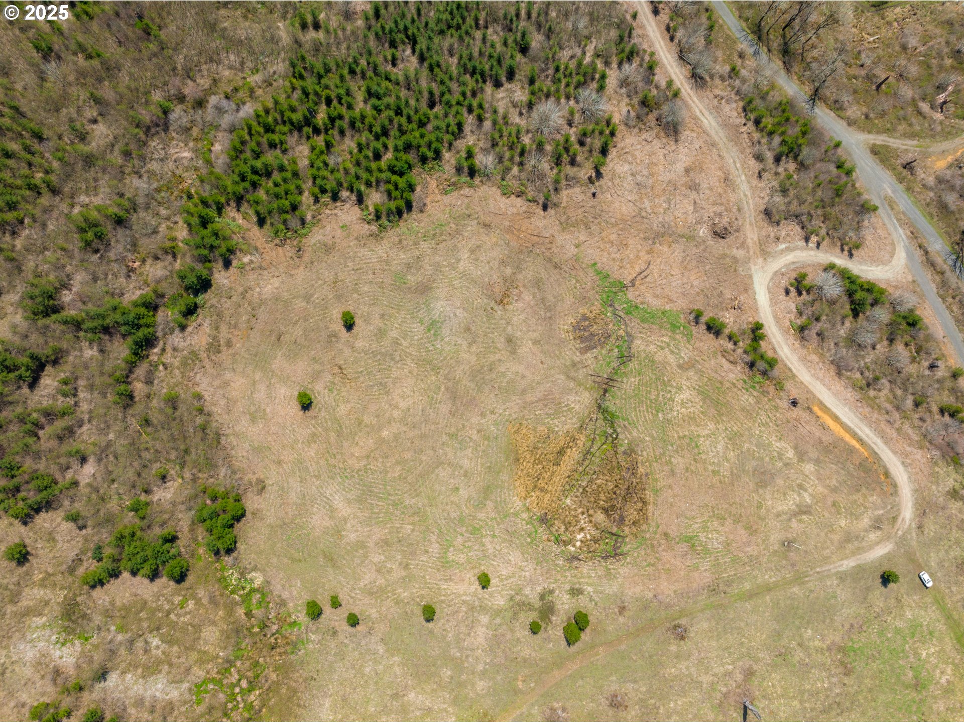 0 Northeast Alvas Road Battle Ground, WA 98604 - Photo 12 of 27 a view of a yard