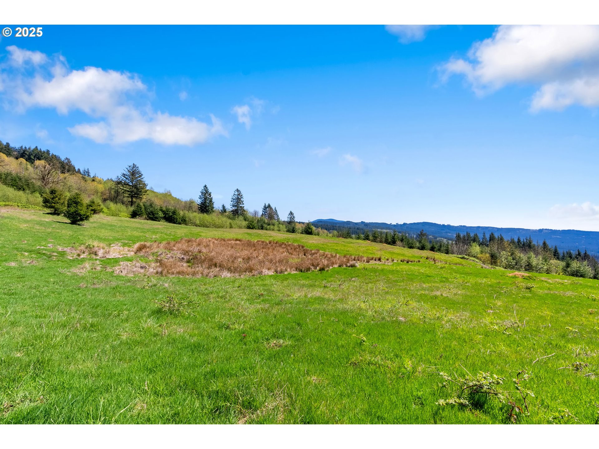 0 Northeast Alvas Road Battle Ground, WA 98604 - Photo 18 of 27 a view of a big yard with swimming pool and mountain view