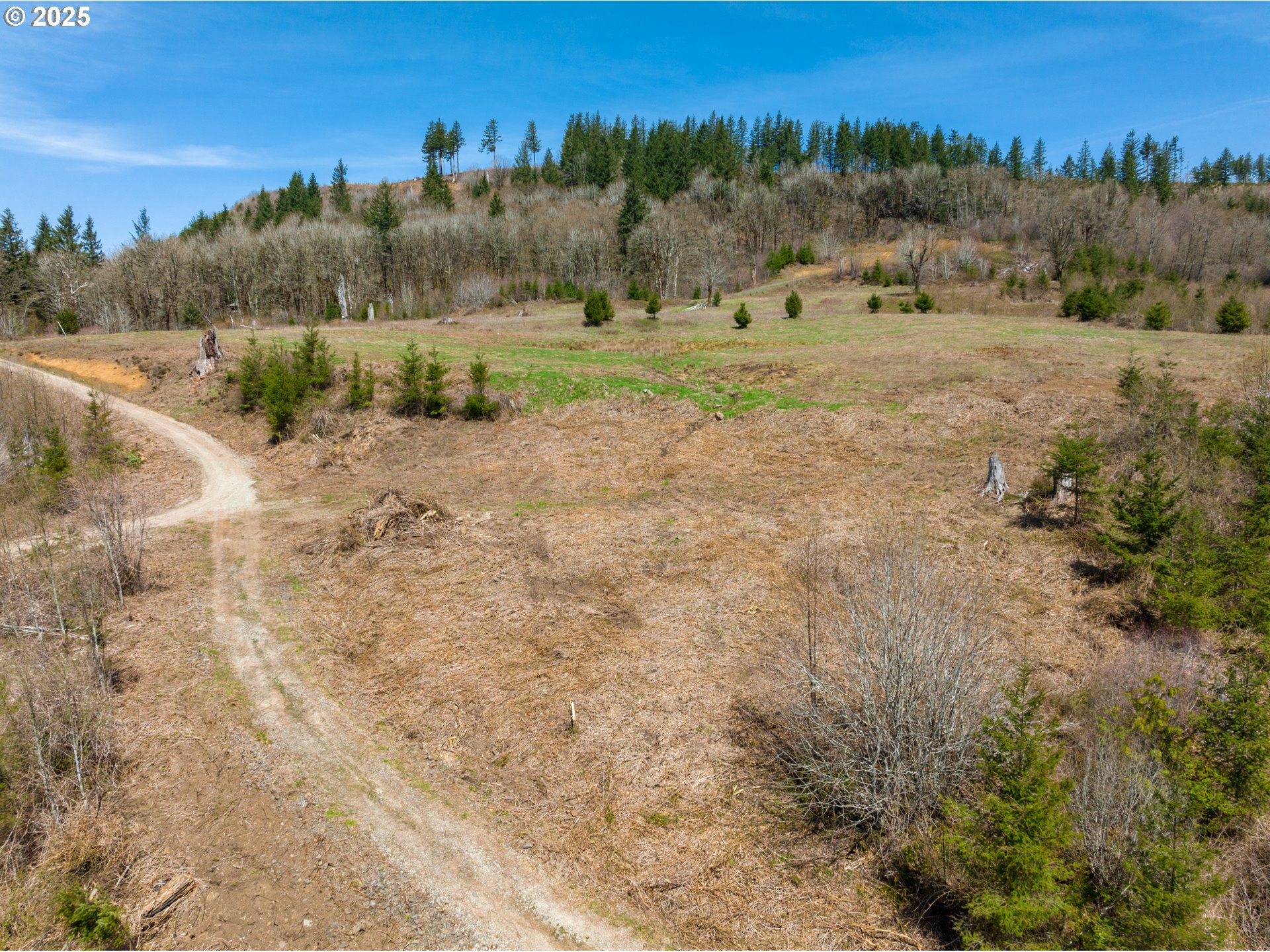 0 Northeast Alvas Road Battle Ground, WA 98604 - Photo 21 of 27 a view of an outdoor space with mountain view