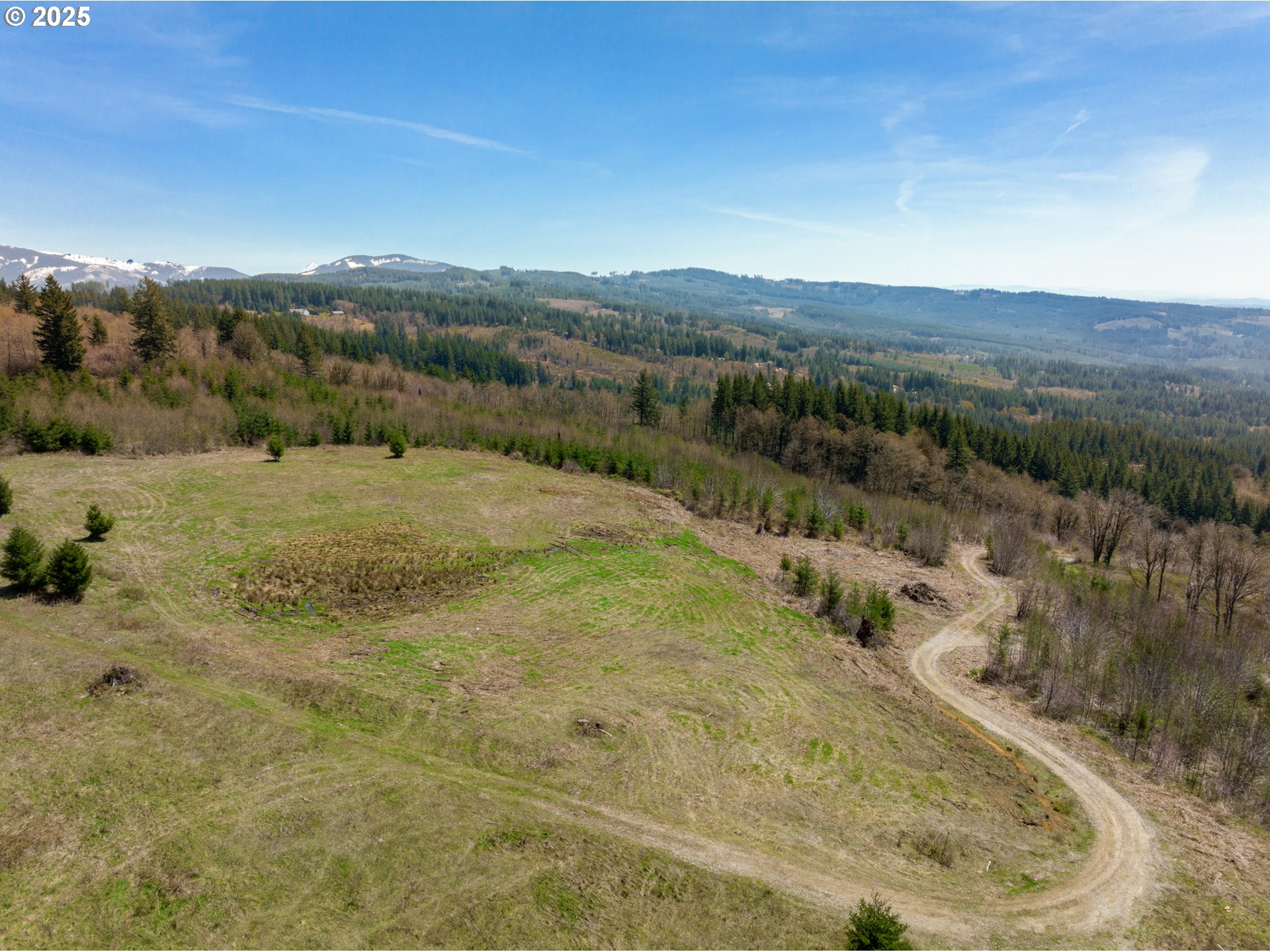 0 Northeast Alvas Road Battle Ground, WA 98604 - Photo 26 of 27 a view of a dry yard