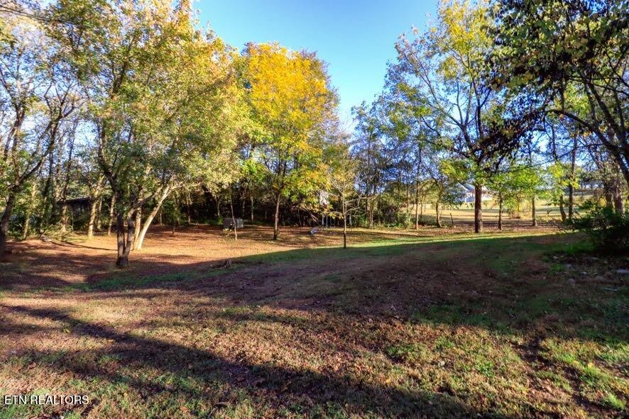 101 Steele Road Greenback, TN 37742 - Photo 4 of 22 a view of yard with green space