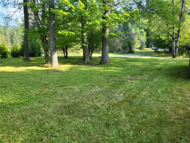 a view of green field with trees in the background