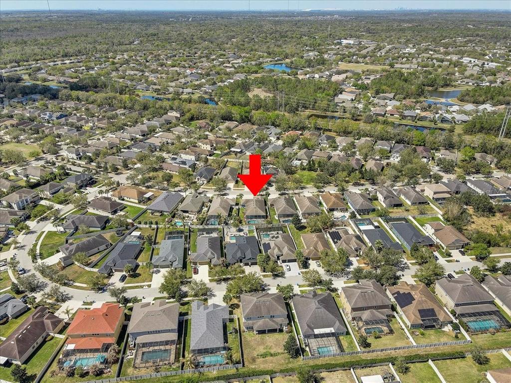 11118 Foster Carriage Road Lithia, FL 33547 - Photo 51 of 52