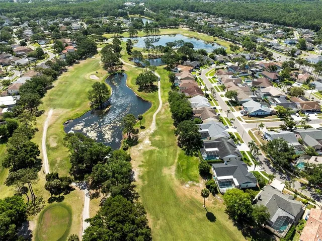 a view of ocean with a large tree