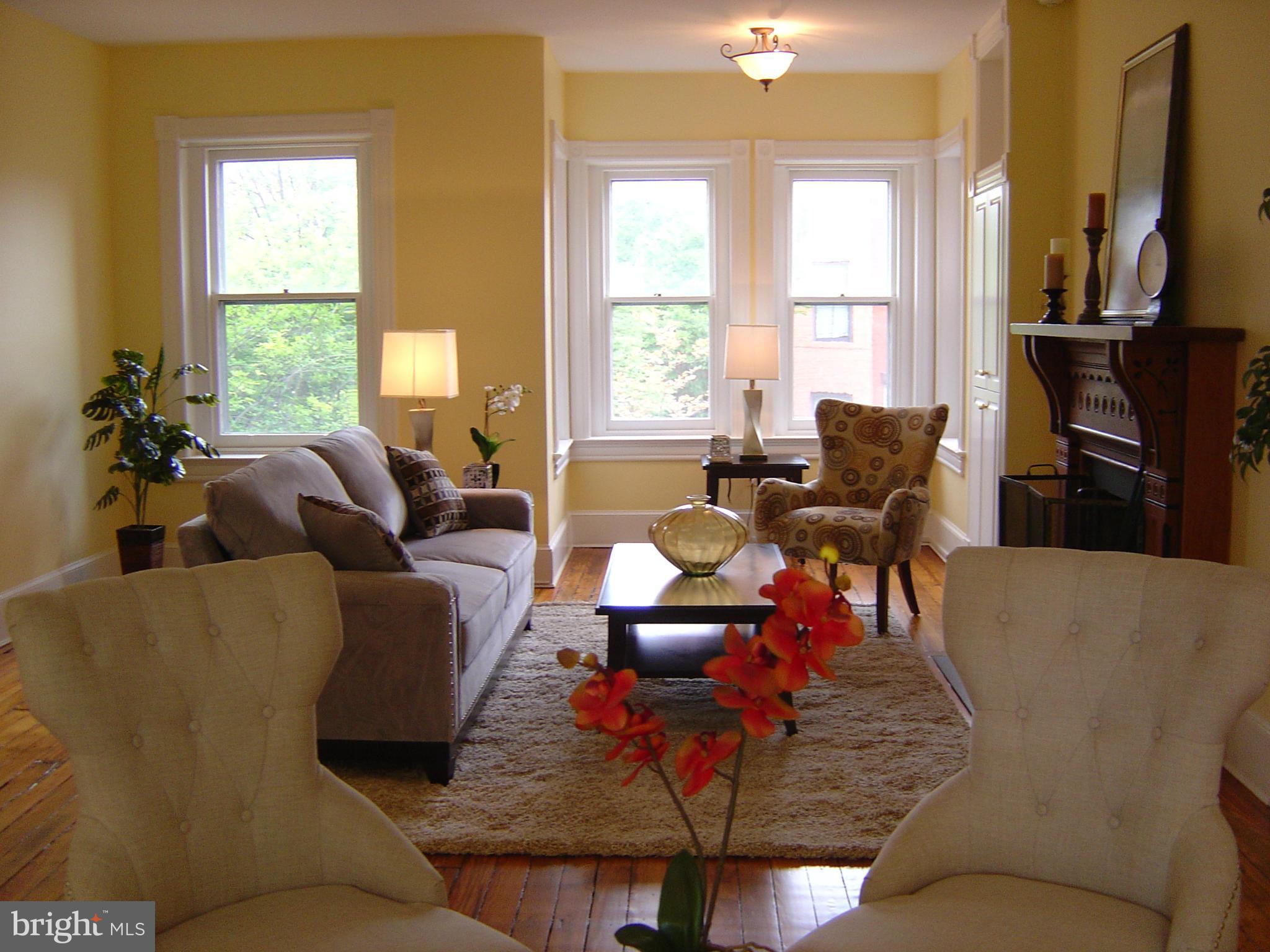 315 5th Street Southeast Washington, DC 20003 - Photo 17 of 29 Living Room